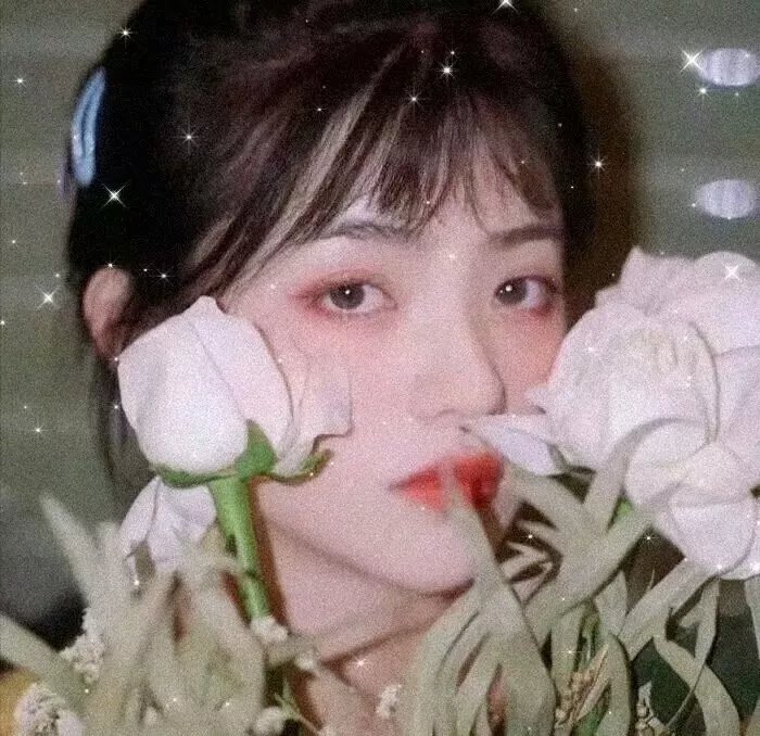 美丽的谎言